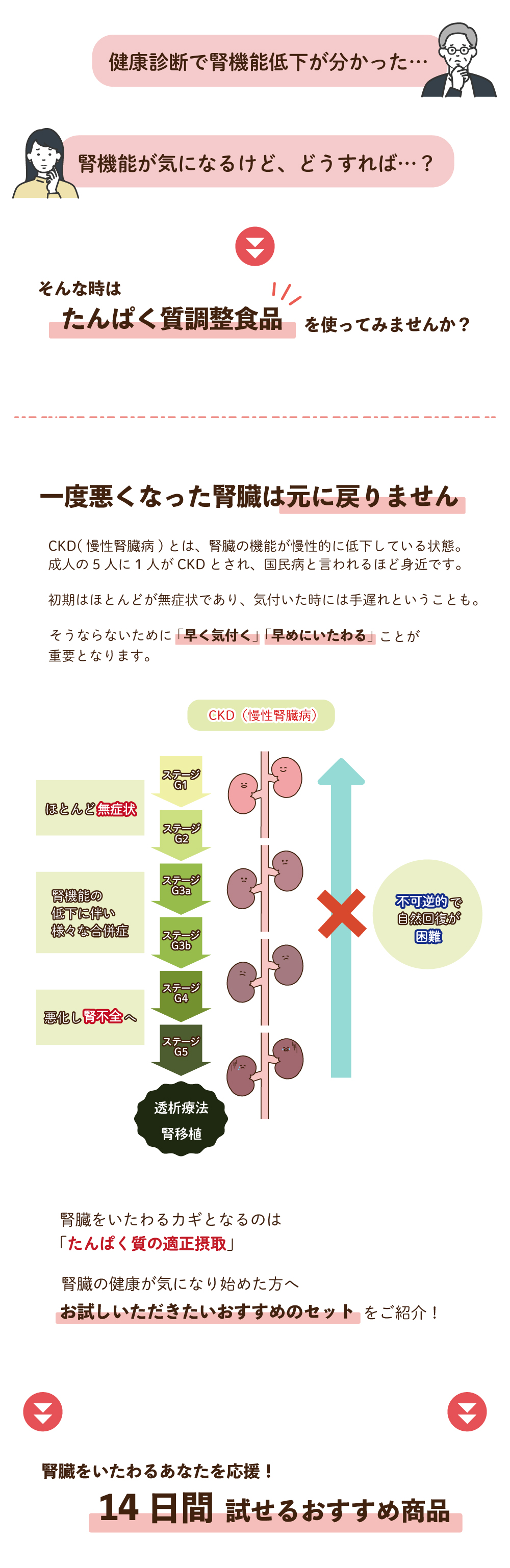 腎臓労わりセット2026